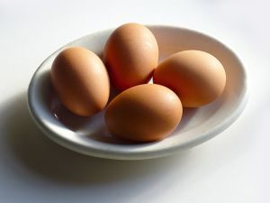 protein food for vegetarian