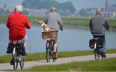 gentle exercise in weight loss